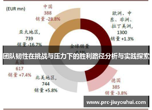团队韧性在挑战与压力下的胜利路径分析与实践探索